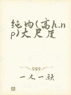 纯肉(高h.np)大尺度封面