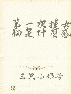 第一次摸女生的胸是什么感觉