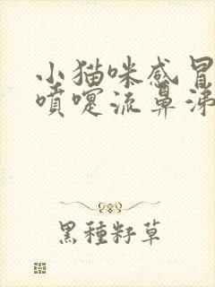 小猫咪感冒了打喷嚏流鼻涕怎么办封面