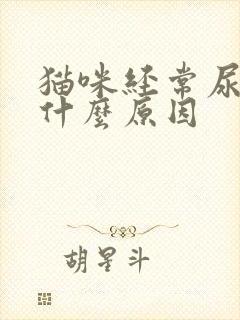 猫咪经常尿闭是什么原因