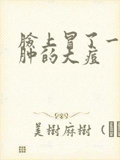 脸上冒了一个红肿的大痘封面