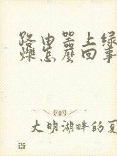 路由器上绿灯闪烁怎么回事