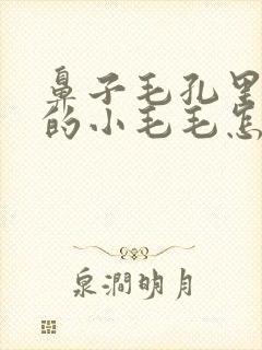 鼻子毛孔里黑色的小毛毛怎么去除