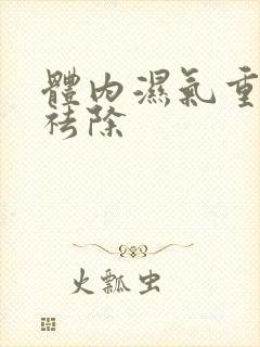 体内湿气重怎样祛除