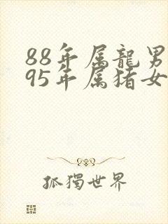 88年属龙男与95年属猪女婚配