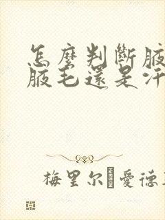 怎么判断腋下是腋毛还是汗毛