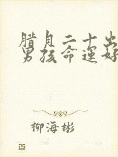 腊月二十出生的男孩命运好吗