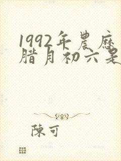 1992年农历腊月初六是什么命