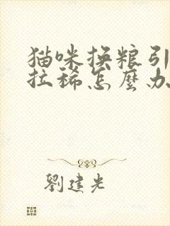 猫咪换粮引起的拉稀怎么办