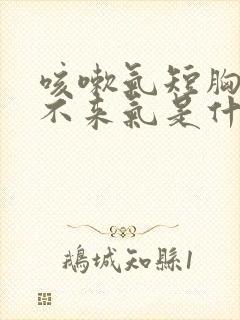 咳嗽气短胸闷上不来气是什么原因