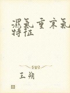 湿气重寒气大的特征