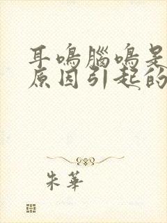 耳鸣脑鸣是什么原因引起的