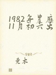 1982年农历11月初六出生的人命运