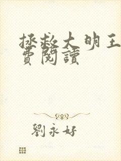 拯救大明王朝免费阅读