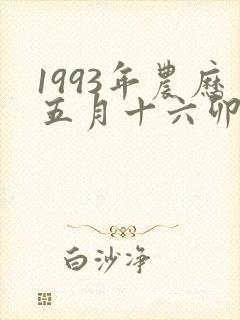 1993年农历五月十六卯时出生的命运