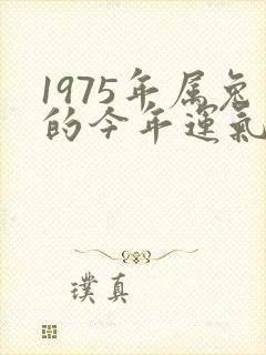 1975年属兔的今年运气怎么样封面
