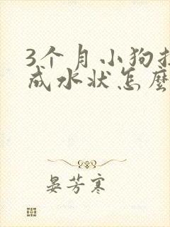 3个月小狗拉稀成水状怎么办