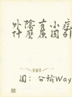 外阴有小疙瘩是什么原因引起封面