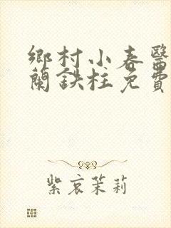 乡村小春医王淑兰铁柱免费阅读全文封面