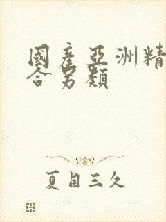 国产亚洲精品综合另类