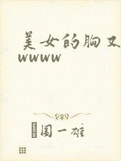 美女的胸又大又wwww