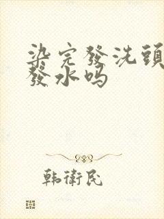 染完发洗头用洗发水吗封面