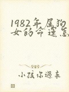 1982年属狗女的命运怎么样