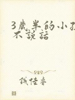 3岁半的小孩还不说话