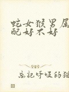 蛇女猴男属相婚配好不好封面