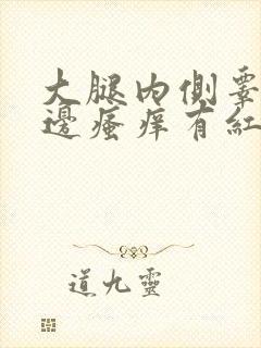 大腿内侧睾丸旁边瘙痒有红疙瘩用什么药膏