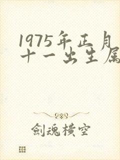 1975年正月十一出生属兔的命运如何