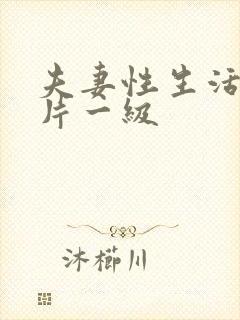 夫妻性生活黄色片一级