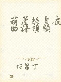 葫芦丝月夜动态曲谱视频