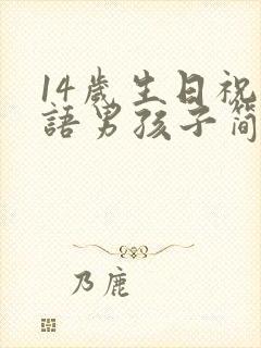 14岁生日祝福语男孩子简短独特封面