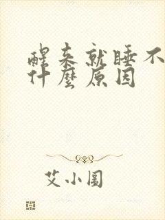 醒来就睡不着是什么原因