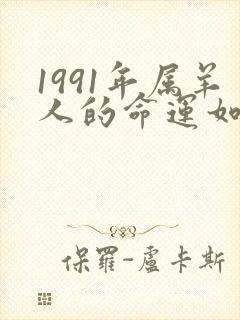 1991年属羊人的命运如何