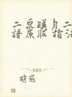 二泉映月二胡简谱原版 指法封面