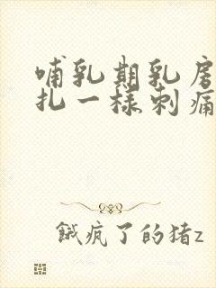 哺乳期乳房像针扎一样刺痛还会发痒封面