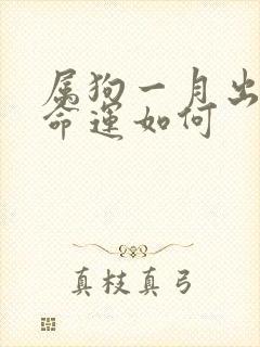 属狗一月出生的命运如何