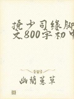 挠少司缘脚心作文800字初中作文