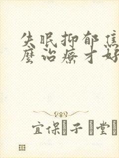 失眠抑郁焦虑怎么治疗才好封面