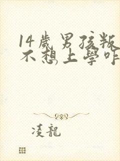 14岁男孩叛逆不想上学咋办封面