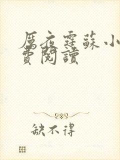 厉夜霆苏小汐免费阅读