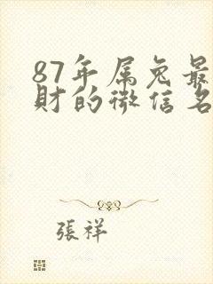 87年属兔最旺财的微信名