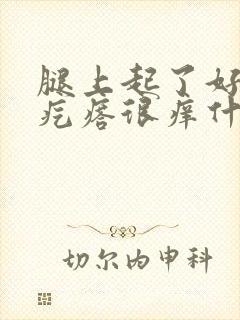 腿上起了好多红疙瘩很痒什么原因