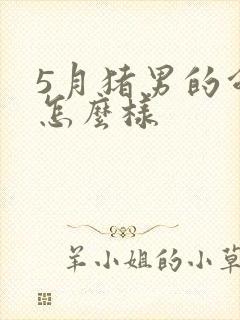 5月猪男的命运怎么样