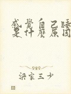 感觉自己睡不醒是什么原因