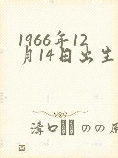 1966年12月14日出生的命运