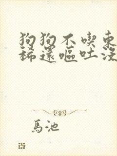 狗狗不吃东西拉稀还呕吐没精神怎么办