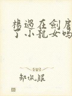 杨过在剑房亲吻了小龙女吗封面